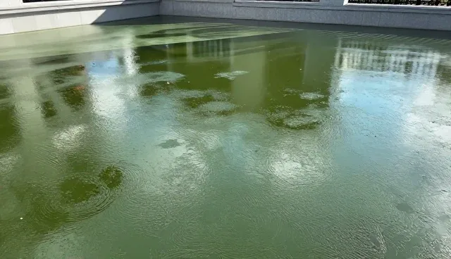 工程维保服务中的技术更新与项目施工管理建议